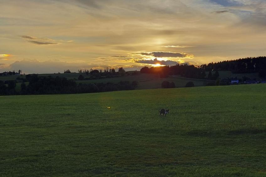 Gustis Hüsli - Alpensicht & Natur pur - foto 55