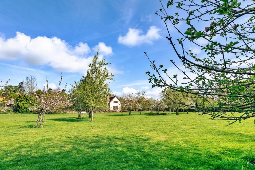 Windfall Cottage - foto 28