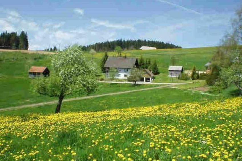 Appartement mit Garten in Schwärzenbach - foto 2