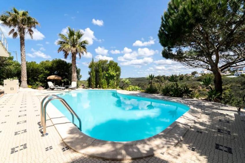 Duas Palmeiras - foto 54