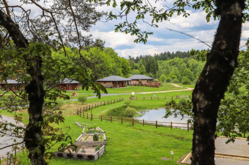 Le Domaine des Monédières C36V - foto 29