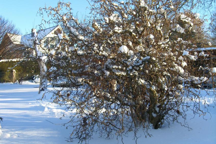 Gemütliches Ferienhaus in Fischbach Rhön - foto 23