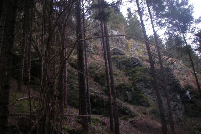 Haus "Hermann" - foto 26