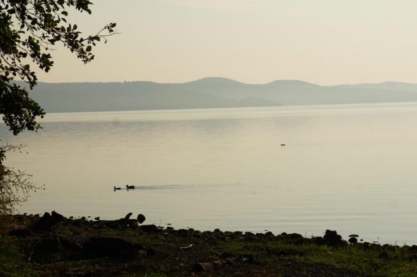 mit Wasserblick - foto 20