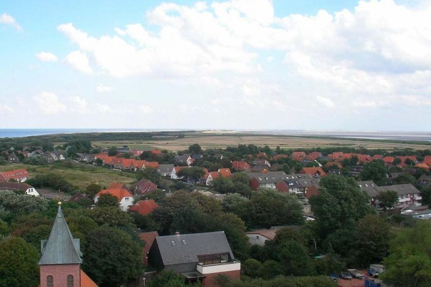 142161 - foto 20