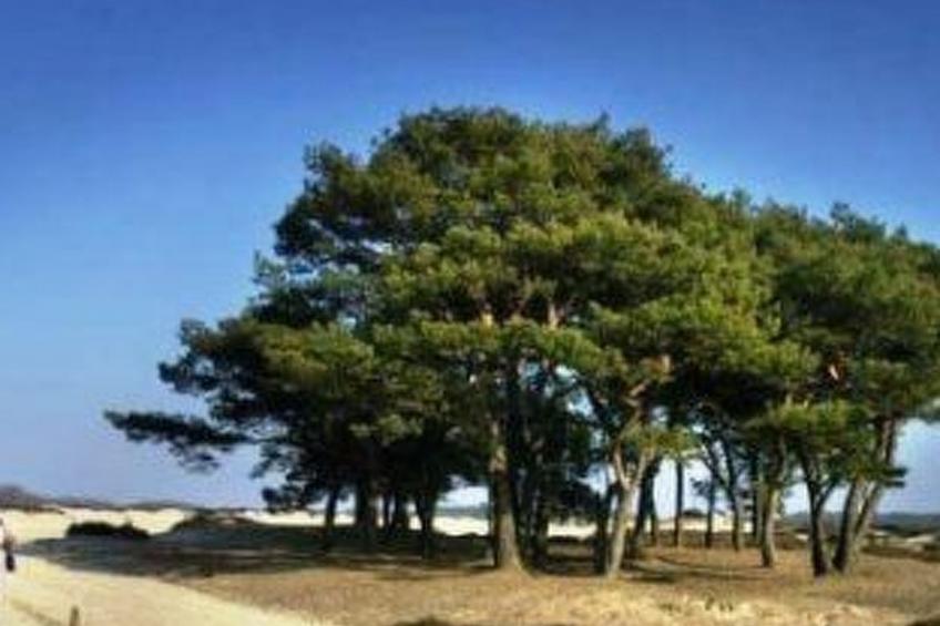 't Anderhoes - foto 16