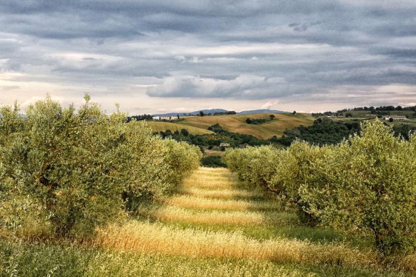Das Walnusshaus - foto 45