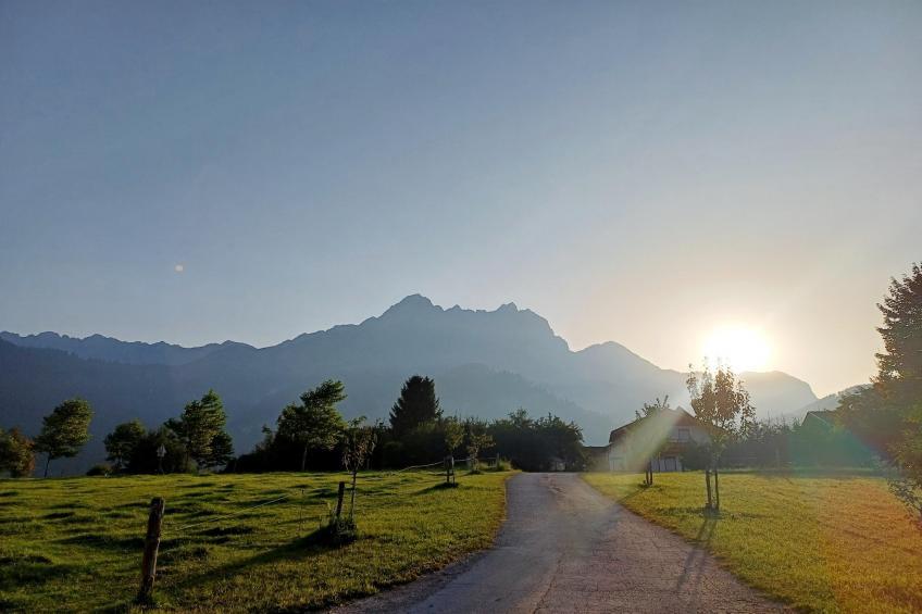 Ferienwohnung am Bio-Bauernhof - foto 38