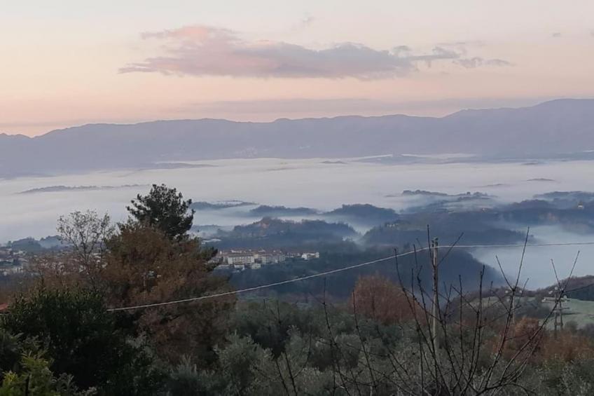 Podere Pulicciano Cantina - foto 28