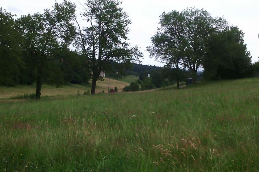 Wohnung mit Terrasse, Grill und Garten - foto 14