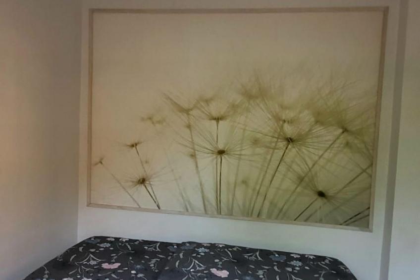 Can Mimosa - foto 22