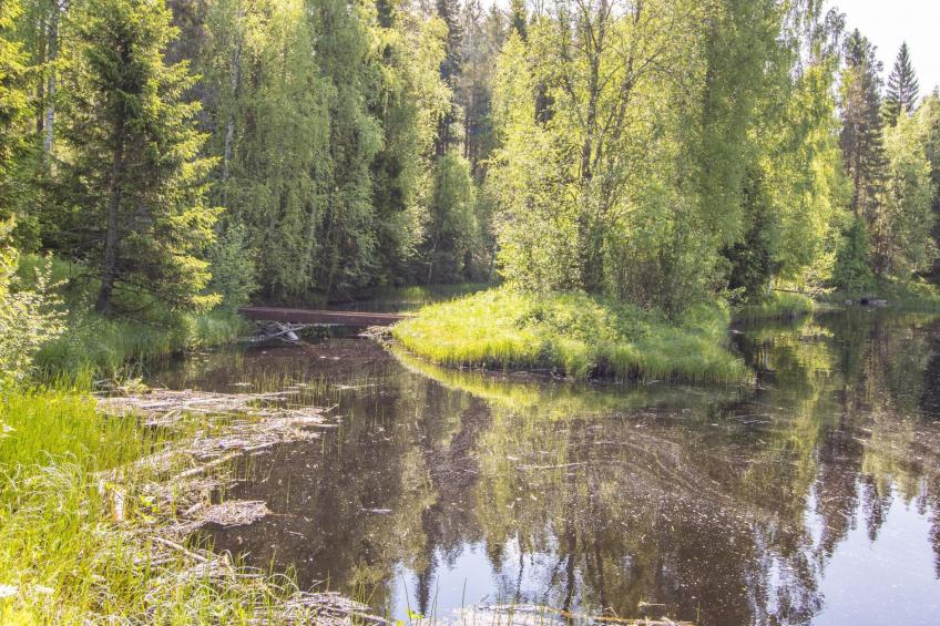 Villa rapids - foto 20