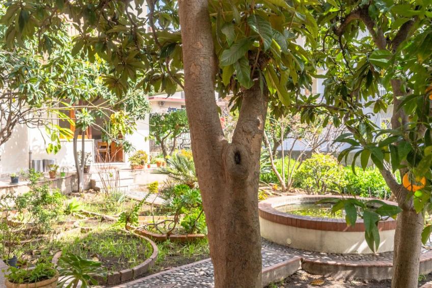 Die Orange und der Goldfisch - foto 15