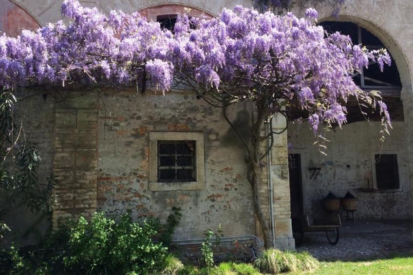 Bellissimo Villa Adelaide - foto 4