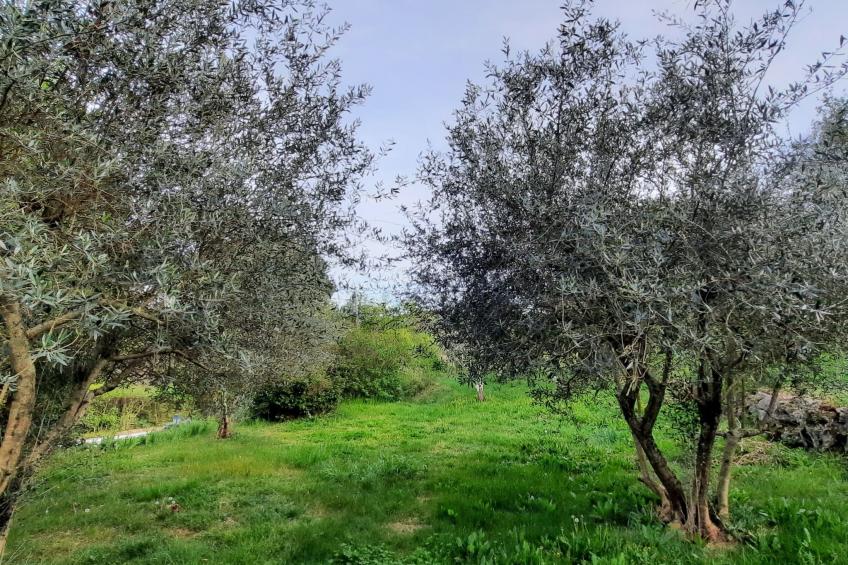 "Gîte La Calade" mit Pool - foto 19