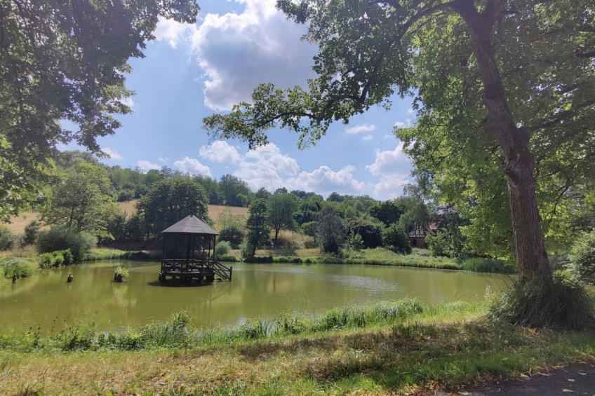 in Holzhausen mit Grill und Terrasse - foto 21