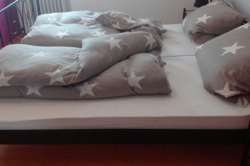 Erholung pur: Nordsee-Urlaub mit Hund - foto 28