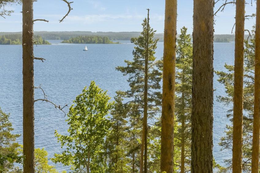 Aleksinrinne - foto 2