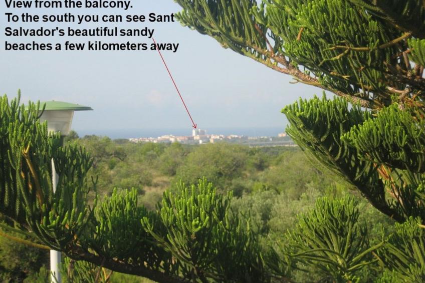 Gasthaus Villa Habana - foto 34