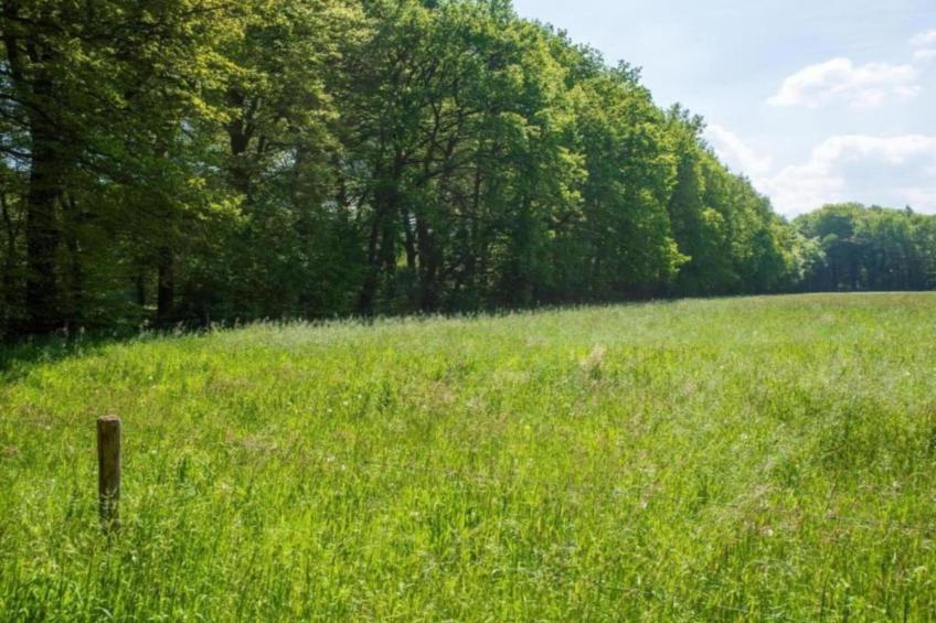 Hulshorsterhout - foto 30