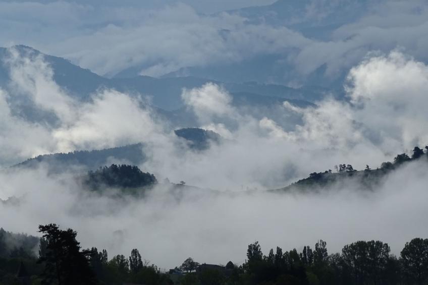 "Les Glycines" - foto 30