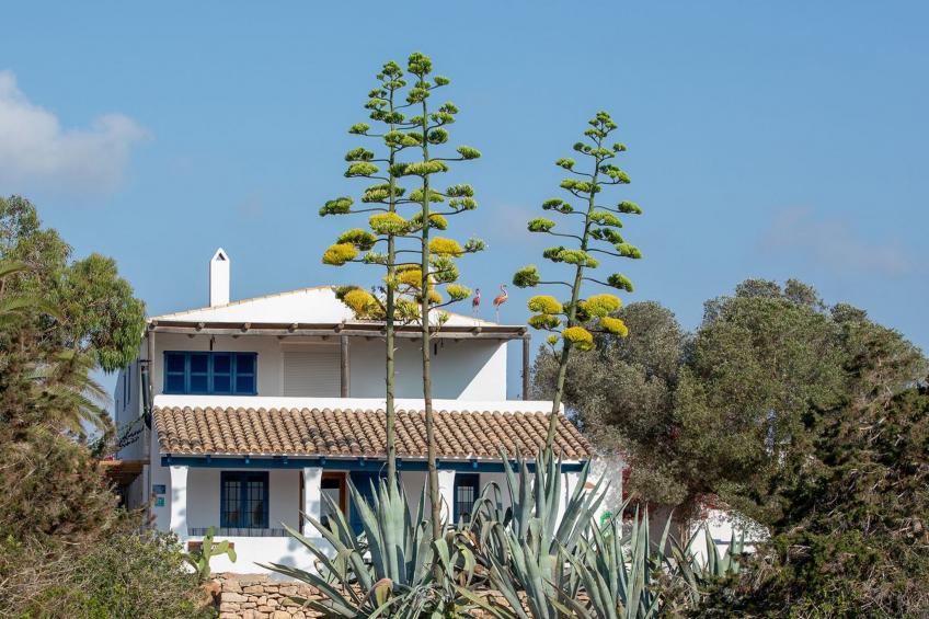 Casa Llevant 4 pax - foto 10