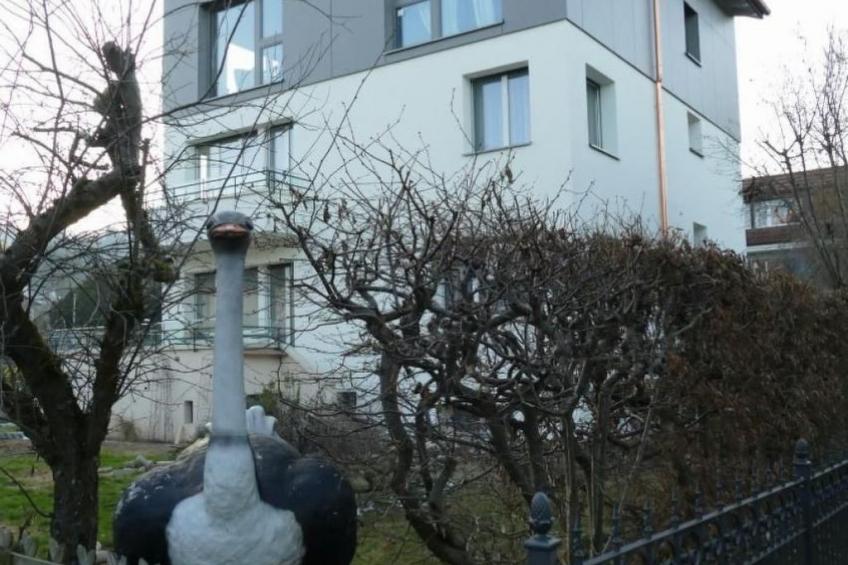 Casa Blumer - Villa mit 1200m2 Garten - foto 21