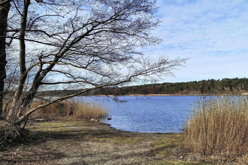 Luxus-Familienappartement / 2 Personen - foto 22