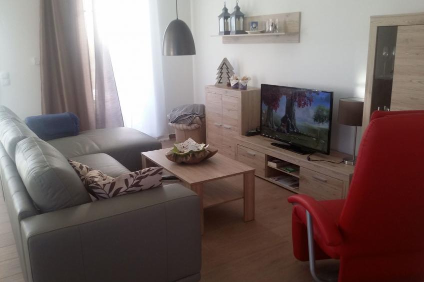 Seeschwalbe - foto 6