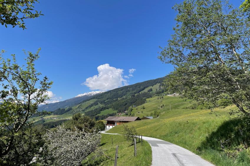 Ferienwohnung Motzerngut, Mittersill - foto 5