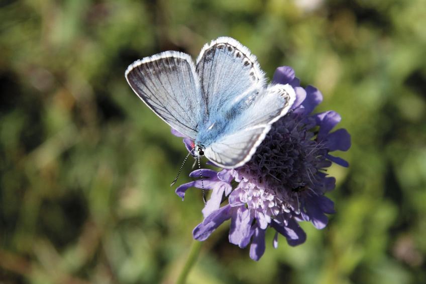 Haus Brandl (GUR581) - foto 30