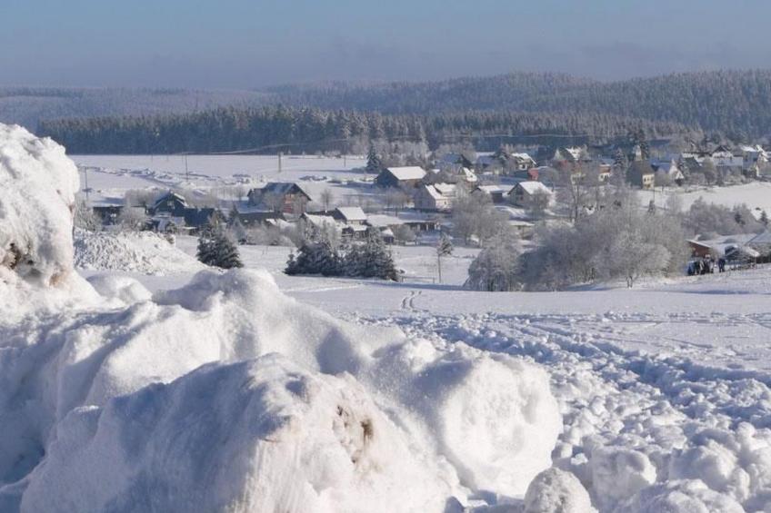 Wiesengrund - foto 14