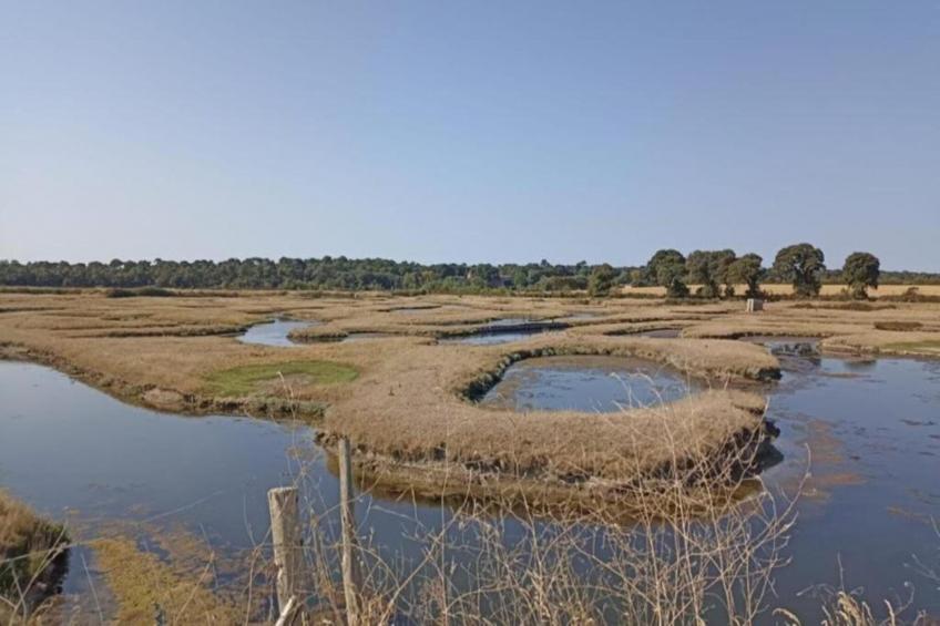 Maison de vacances - AVRILLÉ - foto 20