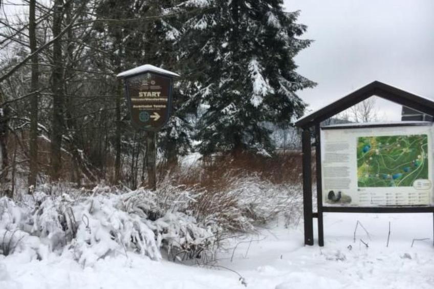 Feriendomizil Adler - foto 42