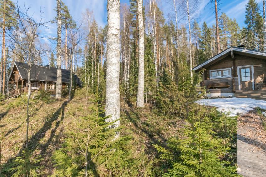 Pirttiniemi - foto 18