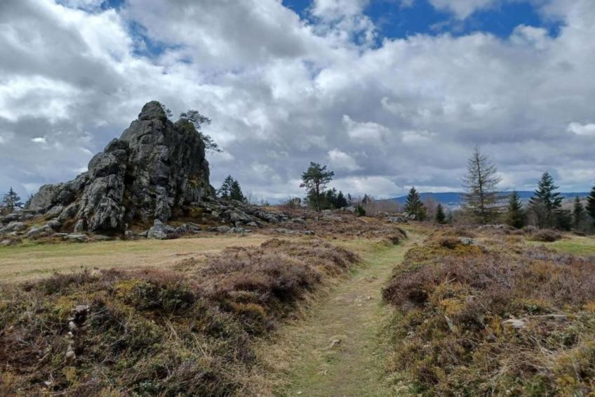Urlaub auf dem Bauernhof - foto 33