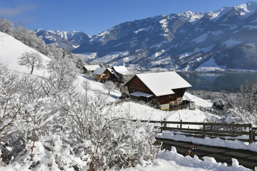 Holzhaus auf Lamahof - foto 47
