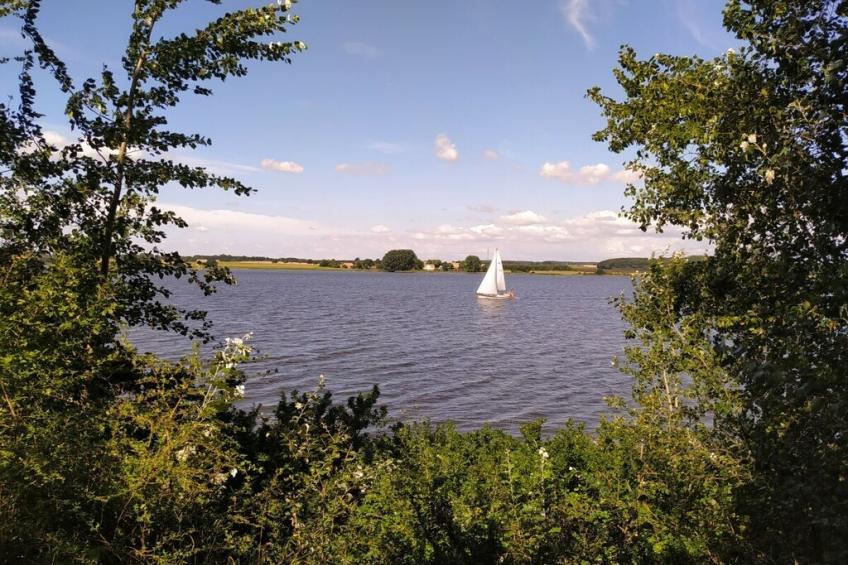 118650 - foto 24