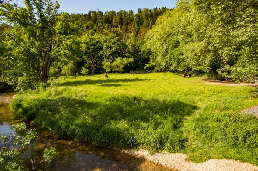 Leben "Im Herzen der Farm" - foto 14