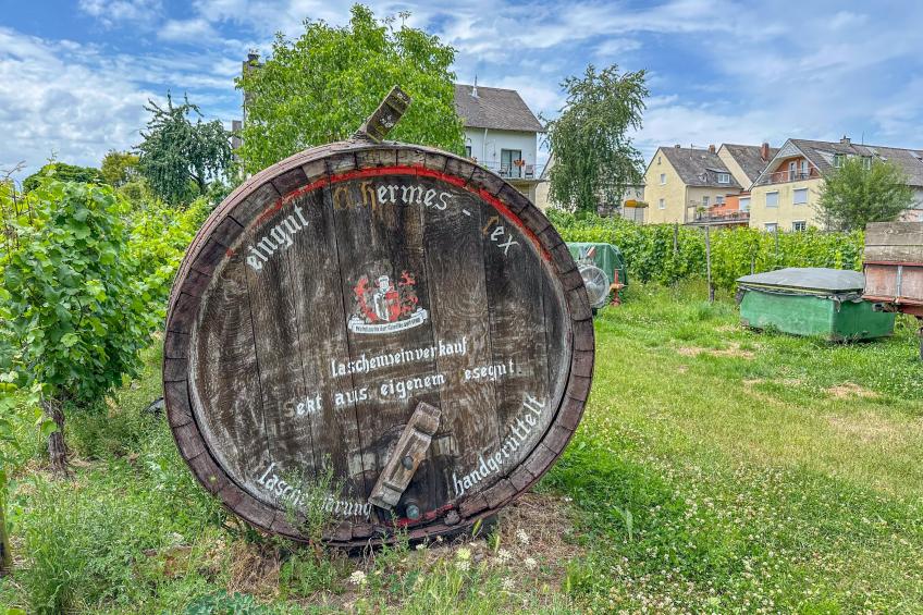Weingut HermesLex - foto 24