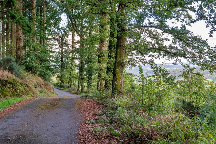 Forest Park Lodge - foto 3