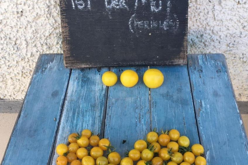 Kellerstöckl am veganen Bio-Lebenshof - Varm - the vegan Farm - foto 34