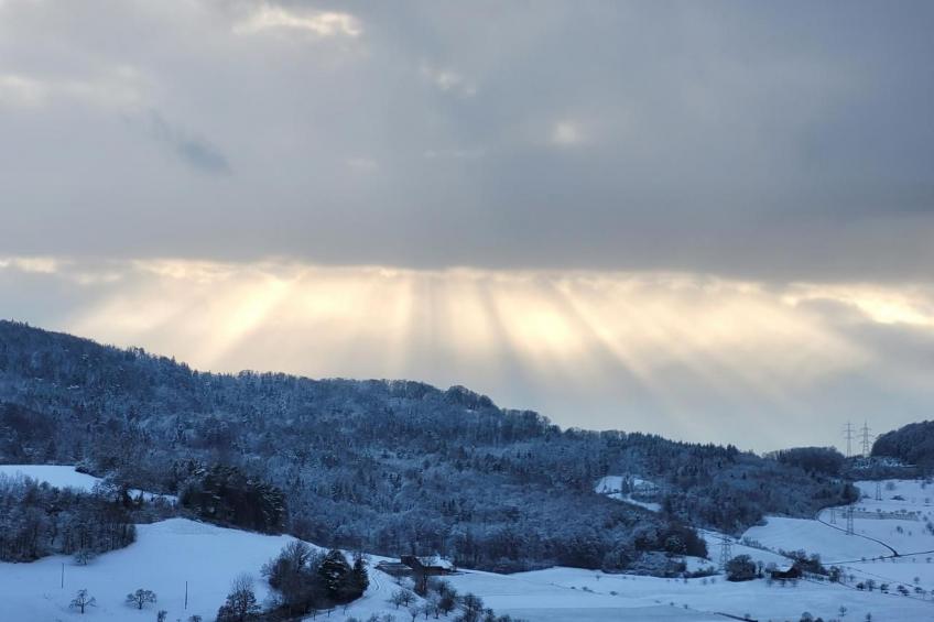 Chalet Staufenhof - foto 40