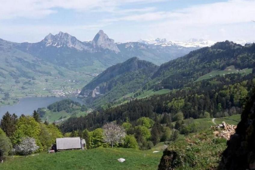 Guntern in Lauerz - foto 10