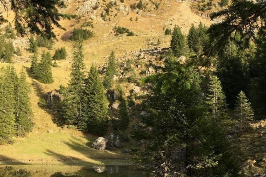 Chalet Muse - foto 36