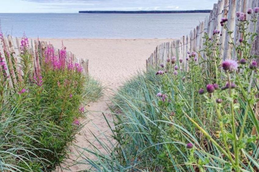 "Die Mündungswohnung" - foto 20