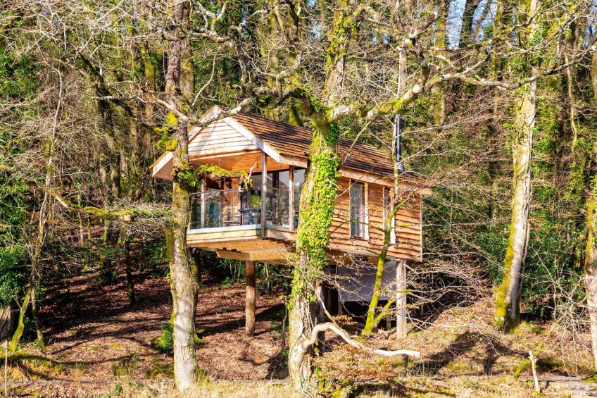Yeworthy Eco-Treehouse - foto 24