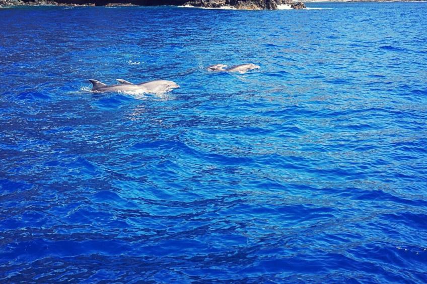 Komfortable geräumige Wohnung mit bester Aussicht 5p max - foto 36