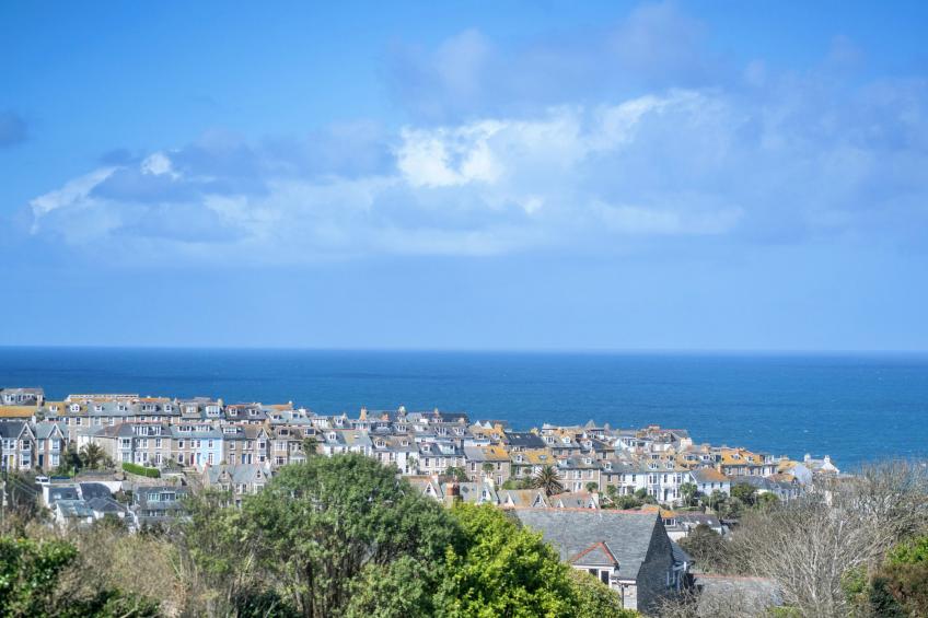 No. 5 Harlequin - foto 15