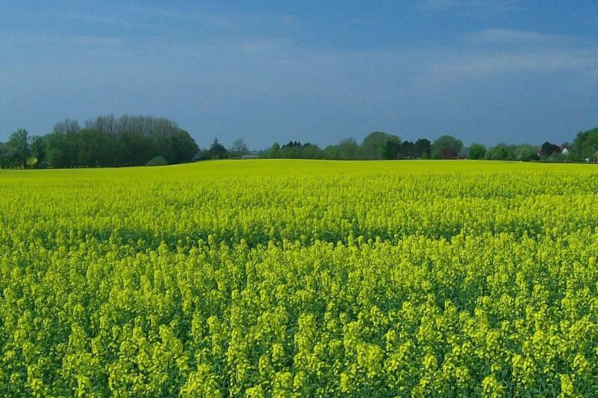 Ländliche Ferienwohnung in beliebtem Gästehaus - foto 3
